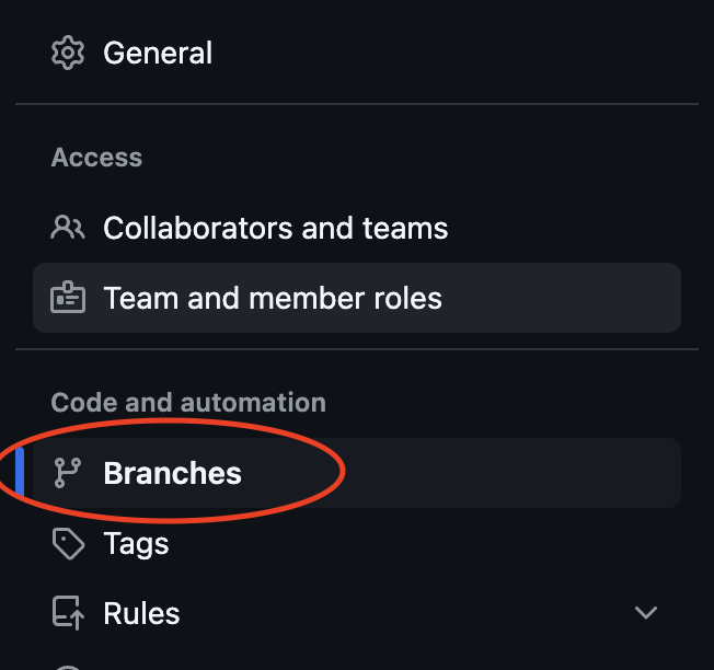 GitHub Branches settings